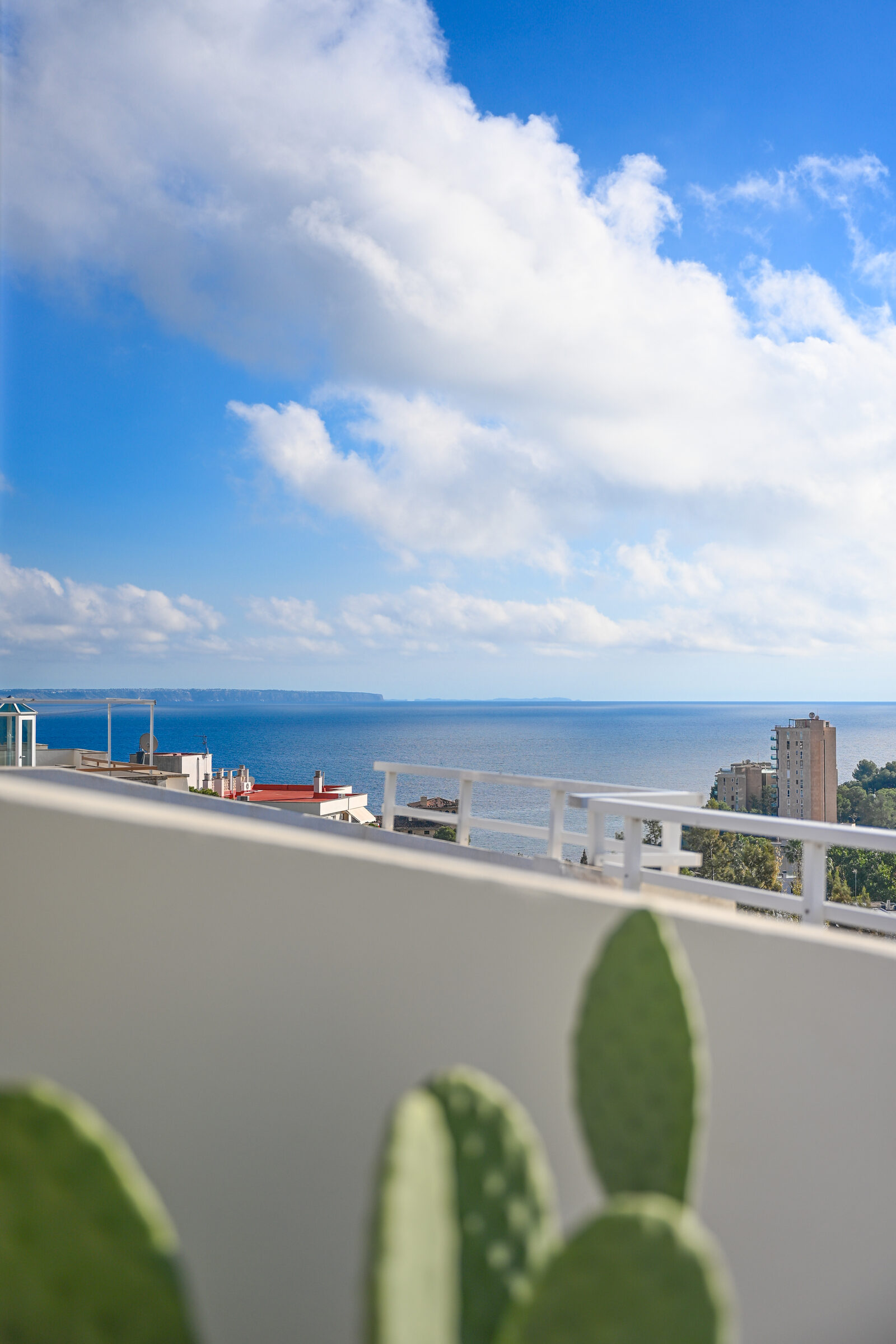 Sea view from the rooftop terrace over the white parapet with a prickly-pear cactus in the foreground.