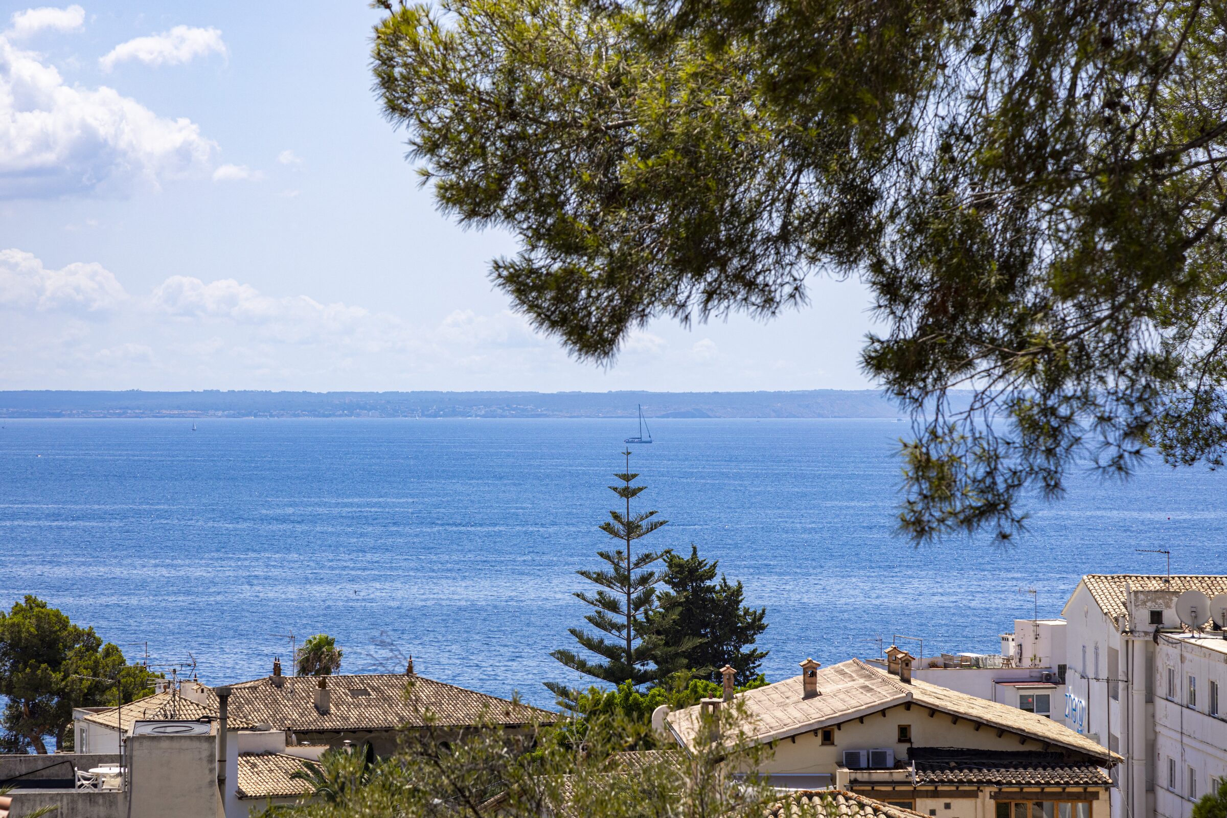 Closing view from La Terraza — Mediterranean pines, terracotta rooftops and the Bay of Palma beyond.